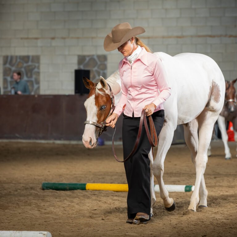 coaching met paarden in Amsterdam