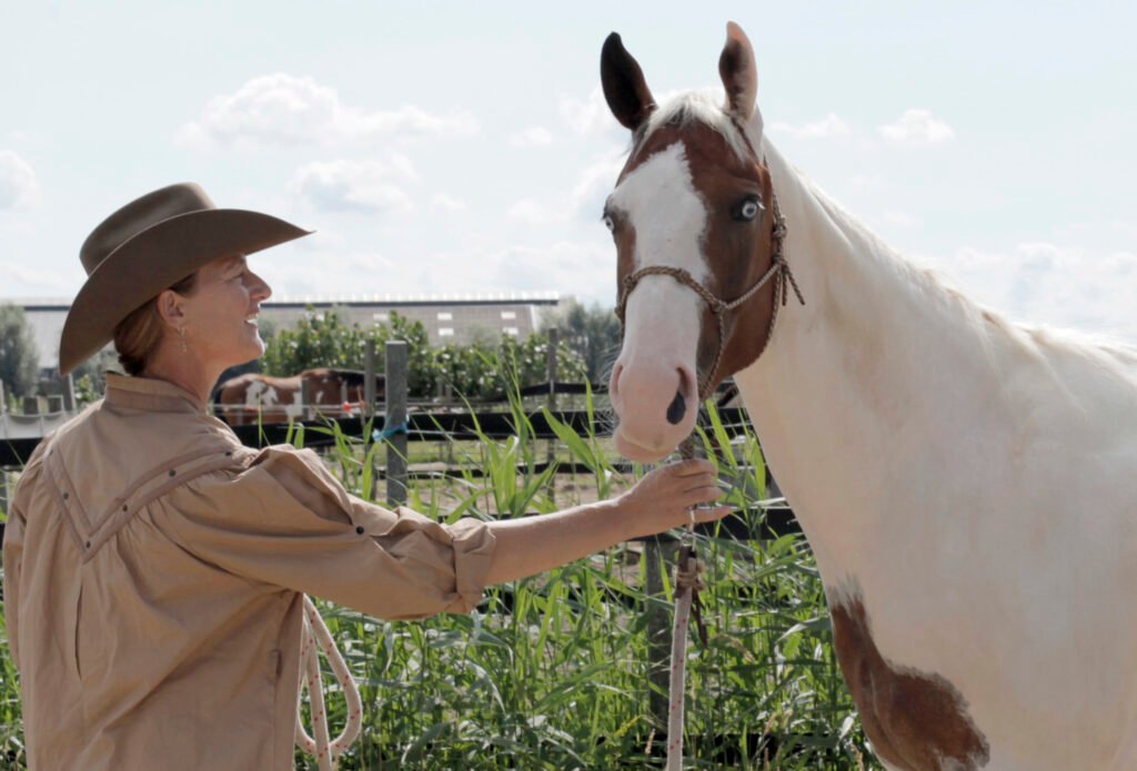coaching met paarden in Amsterdam