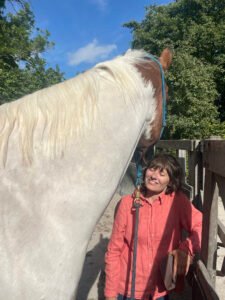 paardencoaching en het sjamanisme en het medicijnwiel in amsterdam